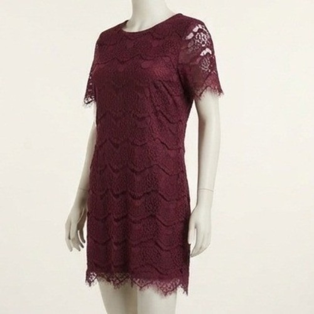 Lulus Take Me to Brunch Burgundy Lace Shift Dress Wine Red size M NWT